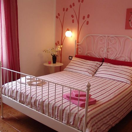 B&B Myosotis Pisa Dış mekan fotoğraf
