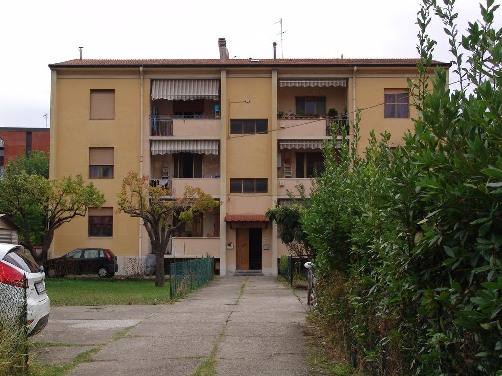 B&B Myosotis Pisa Dış mekan fotoğraf